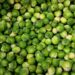 publicdomainpictures brussels sprouts 22009 1280