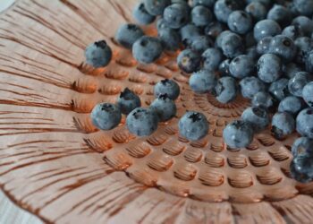 utroja0 blueberries 2532867 1280