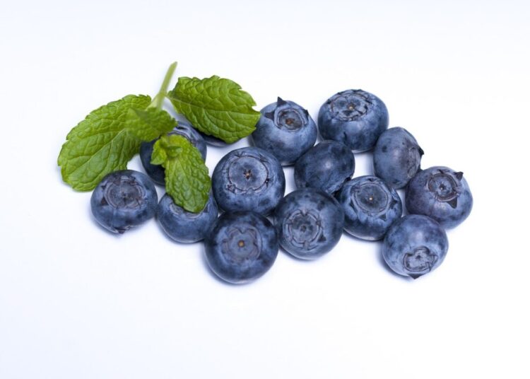 azzurrodesign blueberry 873785 1280