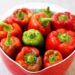 daschorsch bell peppers 7377910 1280