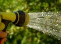 jackmac34 watering 1601143 1280