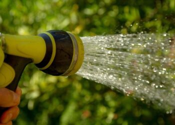 jackmac34 watering 1601143 1280