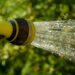 jackmac34 watering 1601143 1280