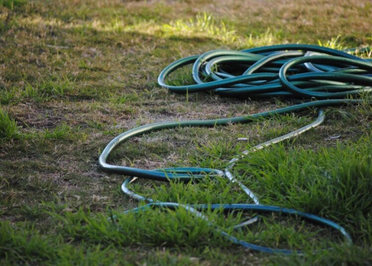 seareeds hose 642885 1280