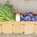 ted browning fruit basket 5448143 1280