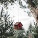 adanlexpro decoration 5060006 1280