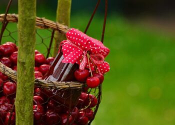 congerdesign cherries 1503972 1280