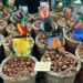 congerdesign flower bulbs 494399 1280