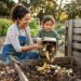 haruudu compost 10240063 1280