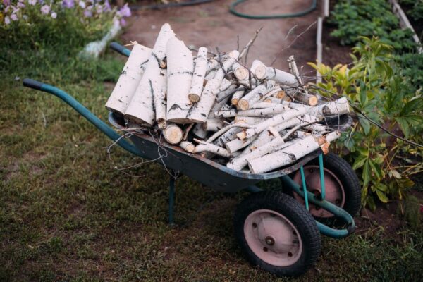 zahrada irina kukuts firewood 8313630 1280