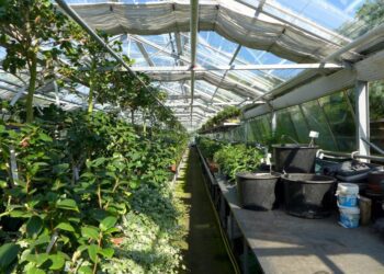 petrafaltermaier greenhouse 2499758 1280