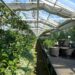 petrafaltermaier greenhouse 2499758 1280