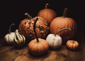 timmossholder pumpkins 8032727 1280