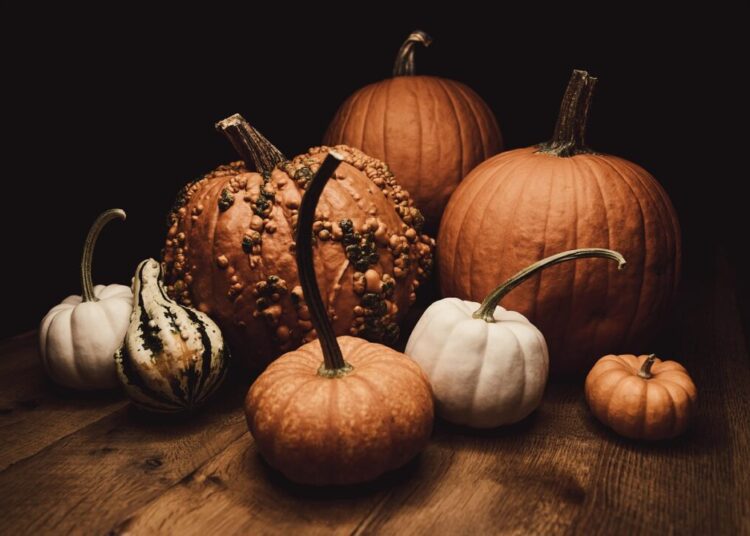 timmossholder pumpkins 8032727 1280