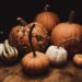 timmossholder pumpkins 8032727 1280
