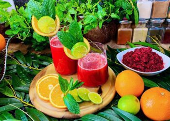wr sound library cranberry mint lemonade 6931306 1280