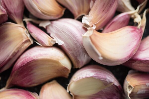 curious collectibles garlic 8214036 1280