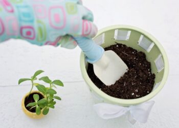 jillwellington planting 783342 1280