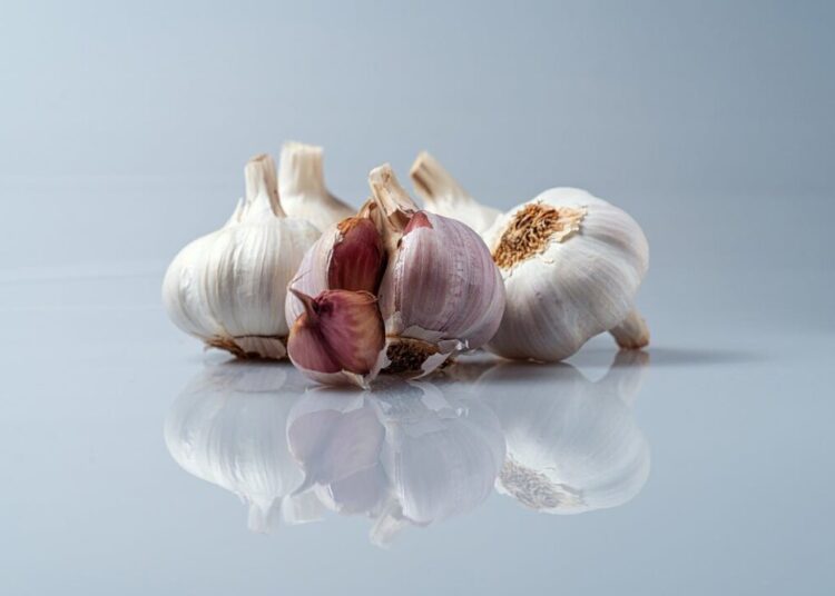 nosolomarcas garlic 9762451 1280