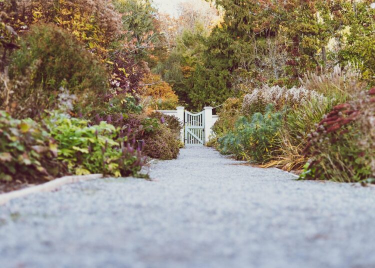 botanical garden 3764739 1280